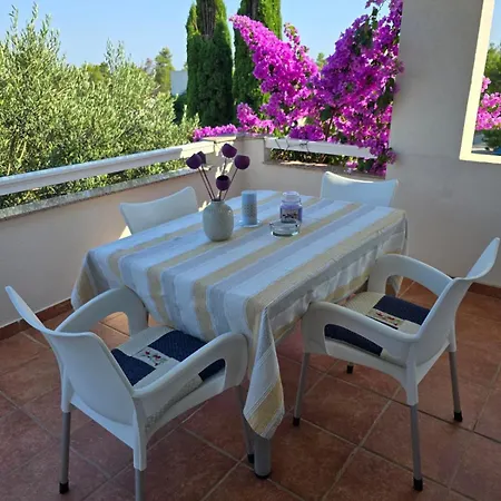 Homestay Ruzica Vir
